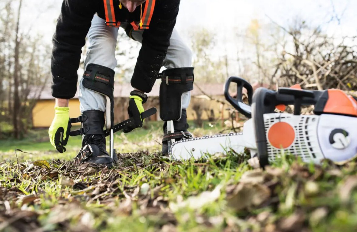 Stump grinding and removal equipment in action in Hoffman Estates, IL