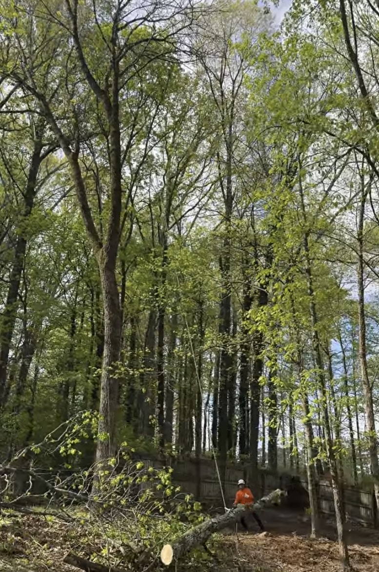 Land and lot clearing services for construction in Hoffman Estates, IL